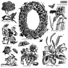 Load image into Gallery viewer, Nature’s Etchings
IOD Stamp | 12” x 12” | Double Sheet with Masks