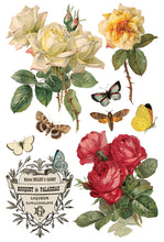 Load image into Gallery viewer, By Any Other Name IOD 8 x 12 Transfer Pad