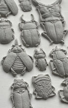 Load image into Gallery viewer, IOD Specimens 6x10 Mould