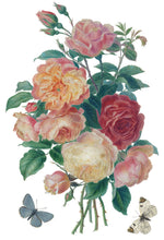 Load image into Gallery viewer, Saint Ouen 8 x 12 IOD Transfer Set