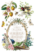 Load image into Gallery viewer, Flora Greca IOD 8 x 12 IOD Transfer Set