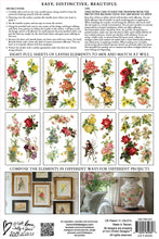 Load image into Gallery viewer, IOD Catharina Transfer Set