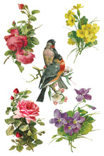 Load image into Gallery viewer, IOD Catharina Transfer Set