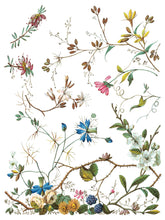 Load image into Gallery viewer, IOD Lost Garden Transfer Set