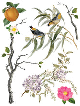 Load image into Gallery viewer, IOD 12 x 16 Menagerie Transfer Set