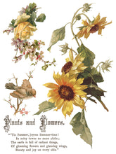 Load image into Gallery viewer, Flowers by the Poets
IOD Transfer | 8 Pages | 12” x 16” | Full Color