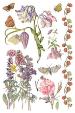 Load image into Gallery viewer, Primrose Isle
IOD Transfer | 8 Pages | 8” x 12” | Full Color