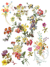 Load image into Gallery viewer, IOD Saint Germain 12 x 16 transfer set