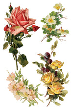 Load image into Gallery viewer, IOD Catharina Transfer Set