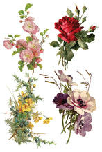 Load image into Gallery viewer, IOD Catharina Transfer Set