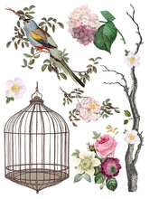 Load image into Gallery viewer, IOD 12 x 16 Menagerie Transfer Set