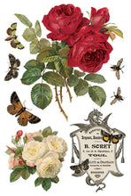 Load image into Gallery viewer, By Any Other Name IOD 8 x 12 Transfer Pad
