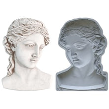 Load image into Gallery viewer, Persephone 5 x7 IOD Mould