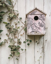Load image into Gallery viewer, Nature’s Etchings
IOD Stamp | 12” x 12” | Double Sheet with Masks