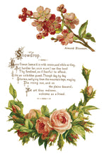 Load image into Gallery viewer, IOD Lover of Flowers 8x 12 transfer Pad
