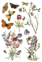 Load image into Gallery viewer, IOD Wilde Bloemen Transfer