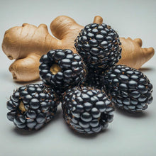 Load image into Gallery viewer, Blackberry-Ginger Dark Balsamic Vinegar