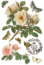 Load image into Gallery viewer, By Any Other Name IOD 8 x 12 Transfer Pad
