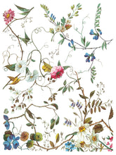 Load image into Gallery viewer, IOD Lost Garden Transfer Set