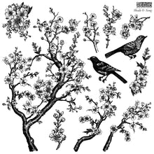 Load image into Gallery viewer, IOD Shades and Songs Stamp