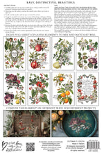 Load image into Gallery viewer, IOD Clementine 8 x 12 Transfer