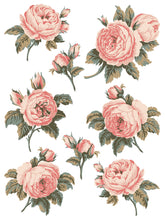 Load image into Gallery viewer, IOD Spring Melody Paint Inlay