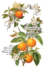 Load image into Gallery viewer, IOD Clementine 8 x 12 Transfer