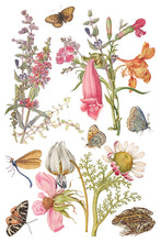 Load image into Gallery viewer, Primrose Isle
IOD Transfer | 8 Pages | 8” x 12” | Full Color