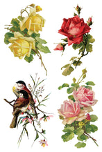 Load image into Gallery viewer, IOD Catharina Transfer Set