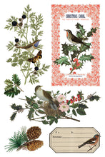 Load image into Gallery viewer, IOD Winter Botanist 8x12 Transfer Pad