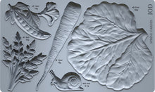 Load image into Gallery viewer, Spring Garden 6 x 10 IOD Mould