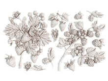 Load image into Gallery viewer, IOD Wild Berries Mould
