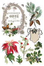 Load image into Gallery viewer, IOD Winter Botanist 8x12 Transfer Pad