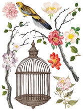 Load image into Gallery viewer, IOD 12 x 16 Menagerie Transfer Set