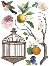 Load image into Gallery viewer, IOD 12 x 16 Menagerie Transfer Set