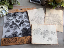 Load image into Gallery viewer, IOD Meadowlark 12 x 12 Stamp