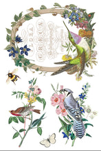 Load image into Gallery viewer, Flora Greca IOD 8 x 12 IOD Transfer Set