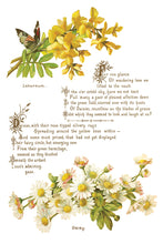 Load image into Gallery viewer, IOD Lover of Flowers 8x 12 transfer Pad