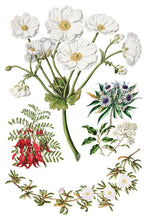 Load image into Gallery viewer, Sarah Featon’s Botanicals