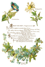 Load image into Gallery viewer, IOD Lover of Flowers 8x 12 transfer Pad