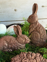 Load image into Gallery viewer, Les Lapins 6 x 10 IOD Mould