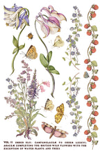 Load image into Gallery viewer, Primrose Isle
IOD Transfer | 8 Pages | 8” x 12” | Full Color