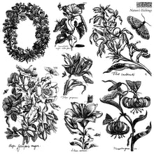 Load image into Gallery viewer, Nature’s Etchings
IOD Stamp | 12” x 12” | Double Sheet with Masks