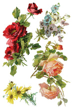 Load image into Gallery viewer, IOD Catharina Transfer Set