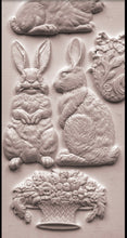 Load image into Gallery viewer, Les Lapins 6 x 10 IOD Mould