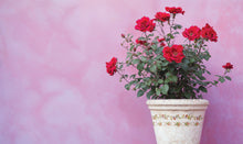 Load image into Gallery viewer, IOD Ditsy Bloom Paint Inlay