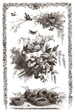 Load image into Gallery viewer, Little Lark
IOD Paint Inlay | 8 Pages | 8” x 12” | 3 Color