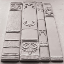 Load image into Gallery viewer, Bookish
IOD Mould | 6” x 10”