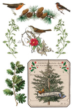 Load image into Gallery viewer, IOD Winter Botanist 8x12 Transfer Pad