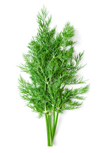 Load image into Gallery viewer, Wild Anithos Dill Infused Olive Oil
